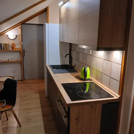 Apartment Pod Spicakem Tanvald
